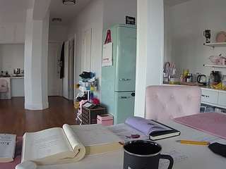 voyeurcam-celticiron-02