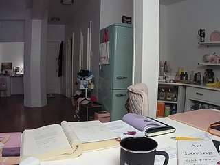 voyeurcam-celticiron-02