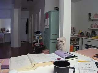 voyeurcam-celticiron-02