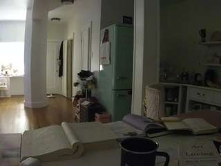 voyeurcam-celticiron-02