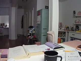 voyeurcam-celticiron-02