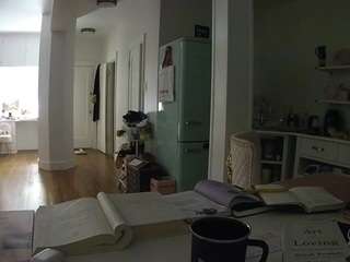 voyeurcam-celticiron-02