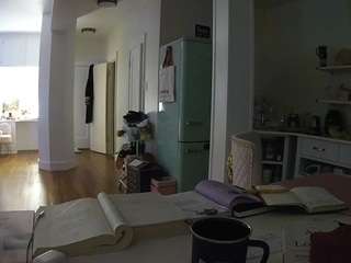 voyeurcam-celticiron-02