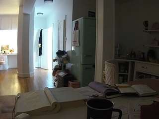 voyeurcam-celticiron-02