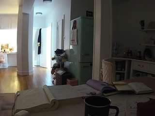 voyeurcam-celticiron-02