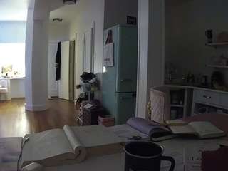 voyeurcam-celticiron-02