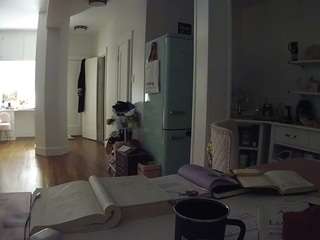 voyeurcam-celticiron-02