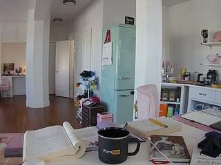 voyeurcam-celticiron-02