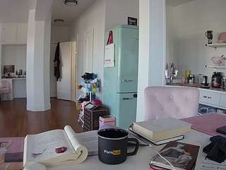 voyeurcam-celticiron-02