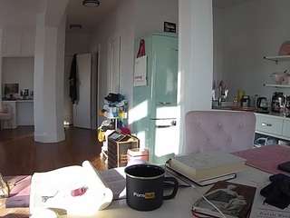 voyeurcam-celticiron-02