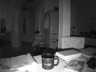 voyeurcam-celticiron-02