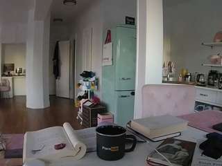 voyeurcam-celticiron-02