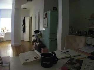 voyeurcam-celticiron-02