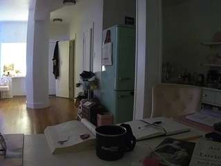 voyeurcam-celticiron-02