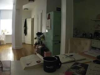 voyeurcam-celticiron-02