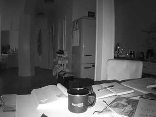 voyeurcam-celticiron-02