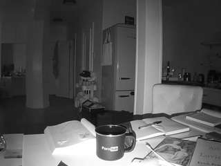 voyeurcam-celticiron-02