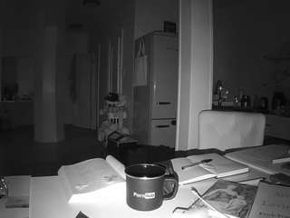 voyeurcam-celticiron-02