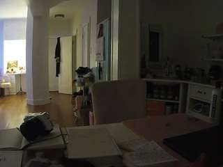 voyeurcam-celticiron-02