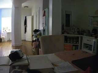 voyeurcam-celticiron-02