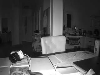 voyeurcam-celticiron-02