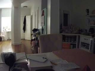 voyeurcam-celticiron-02