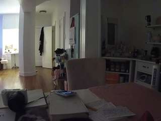 voyeurcam-celticiron-02