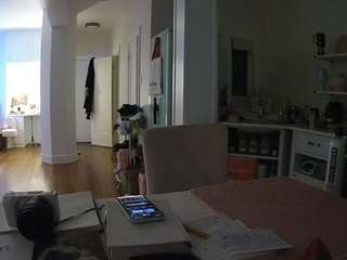 voyeurcam-celticiron-02