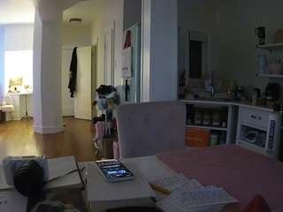 voyeurcam-celticiron-02