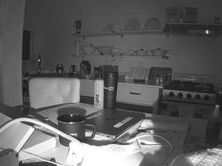 voyeurcam-celticiron-02