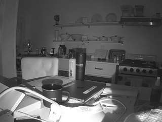 voyeurcam-celticiron-02