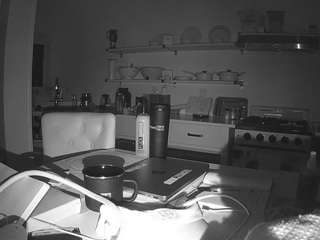 voyeurcam-celticiron-02