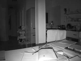 voyeurcam-celticiron-02