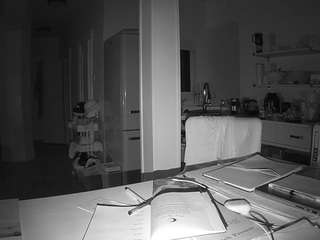 voyeurcam-celticiron-02