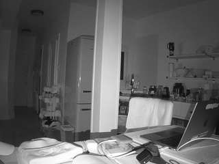 voyeurcam-celticiron-02