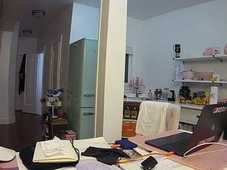 voyeurcam-celticiron-02