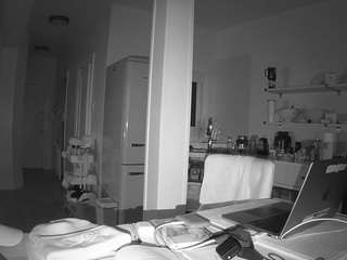 voyeurcam-celticiron-02