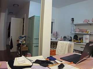 voyeurcam-celticiron-02