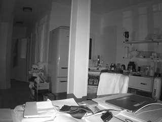 voyeurcam-celticiron-02