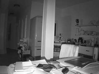 voyeurcam-celticiron-02