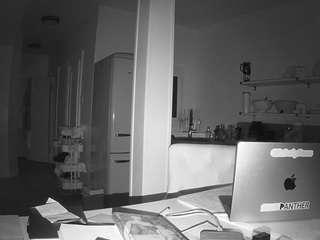 voyeurcam-celticiron-02