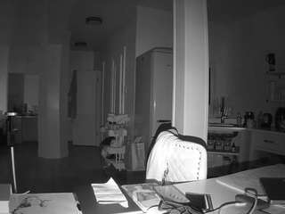 voyeurcam-celticiron-02