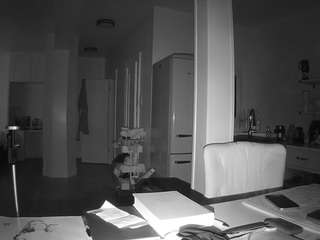 voyeurcam-celticiron-02