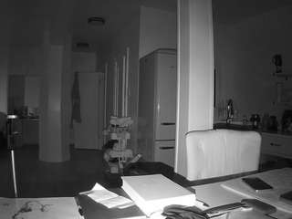 voyeurcam-celticiron-02