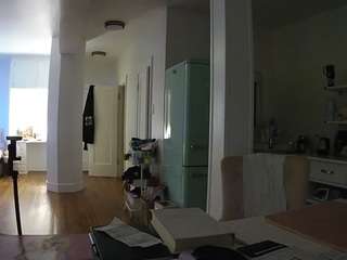 voyeurcam-celticiron-02