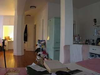 voyeurcam-celticiron-02