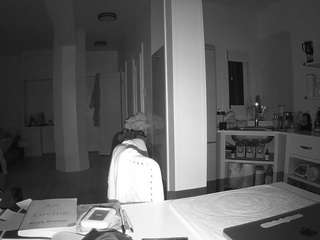 voyeurcam-celticiron-02