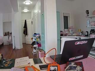 voyeurcam-celticiron-02