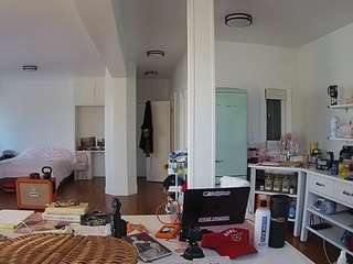 voyeurcam-celticiron-02