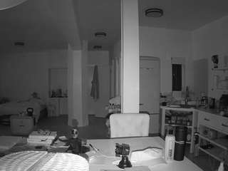 voyeurcam-celticiron-02